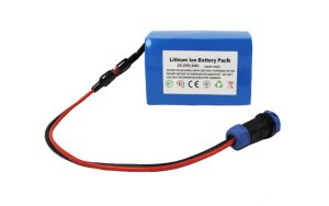 jual baterai lithium rechargeable 25,2V 8,8Ah Golf Trolley Lithium Battery